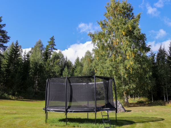 Trampoline Removal in Lynnwood