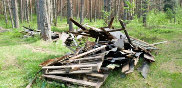Debris Removal Service in Lynnwood