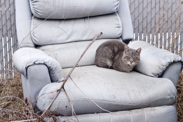 Recliner Disposal in Lynnwood