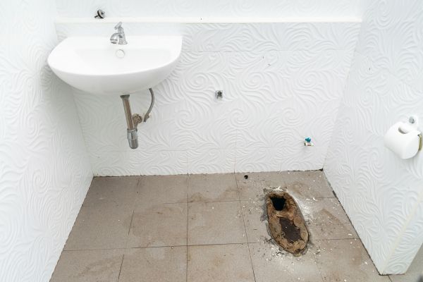 Toilet Disposal in Lynnwood